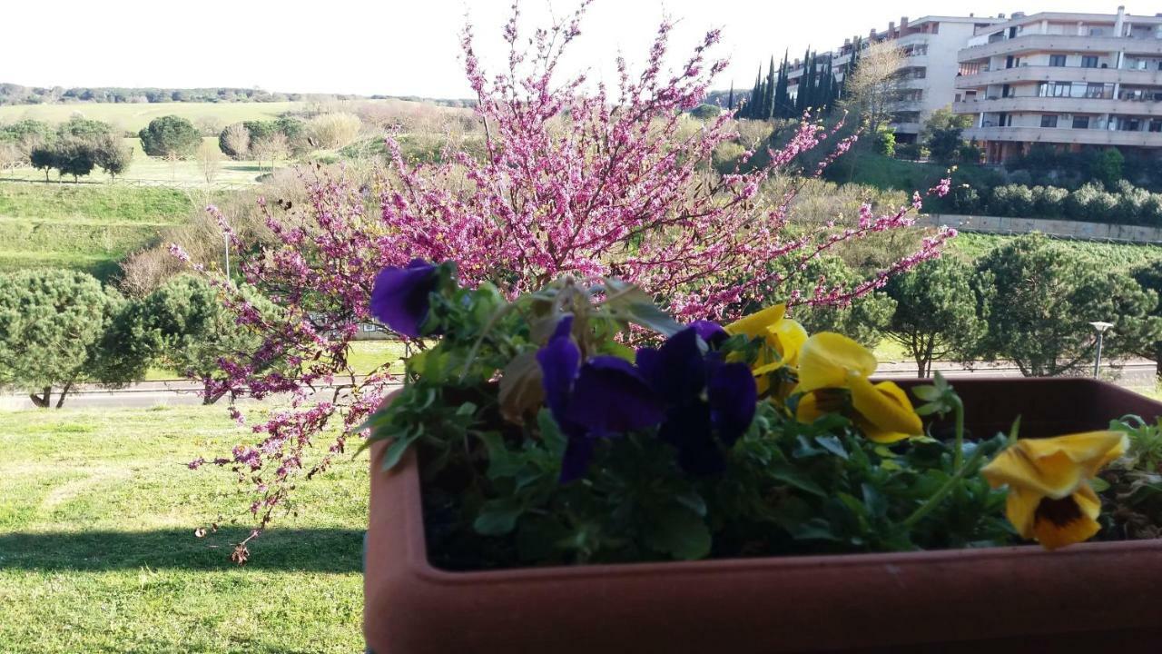 Vitinia B&B Colline Verdi מראה חיצוני תמונה