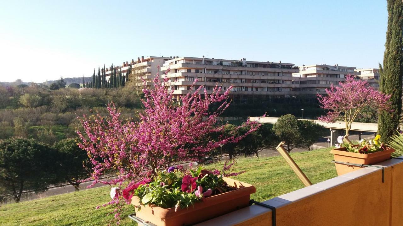 Vitinia B&B Colline Verdi מראה חיצוני תמונה