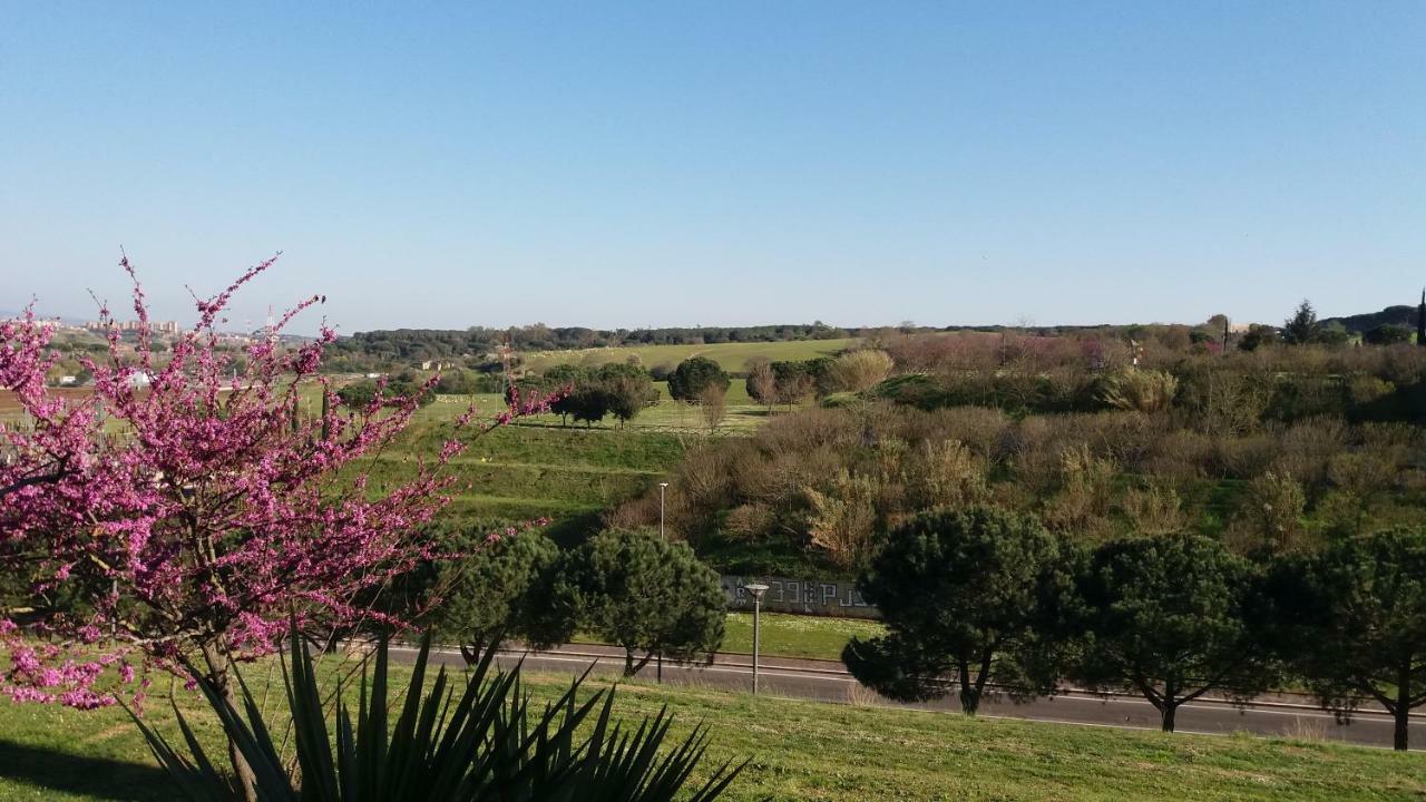 Vitinia B&B Colline Verdi מראה חיצוני תמונה